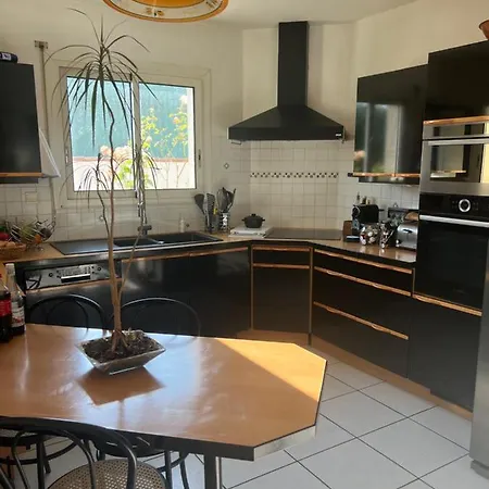Des Palmiers Villa
